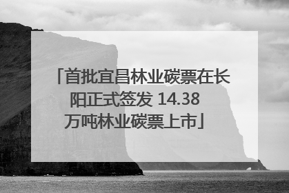 首批宜昌林业碳票在长阳正式签发 14.38万吨林业碳票上市