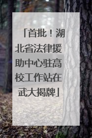 首批！湖北省法律援助中心驻高校工作站在武大揭牌