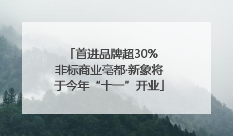 首进品牌超30% 非标商业亳都·新象将于今年“十一”开业