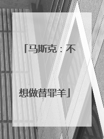 马斯克：不想做替罪羊