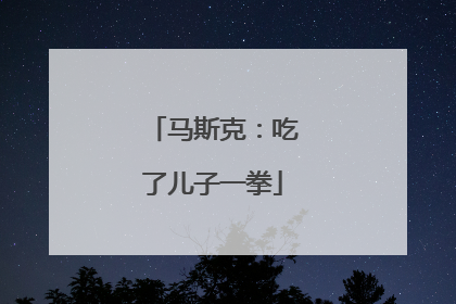 马斯克：吃了儿子一拳