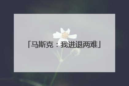 马斯克：我进退两难