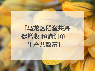 马龙区稻渔共舞促增收 稻渔订单生产共致富