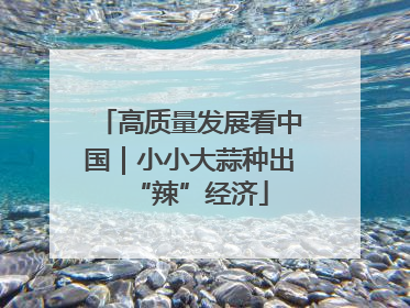 高质量发展看中国｜小小大蒜种出“辣”经济