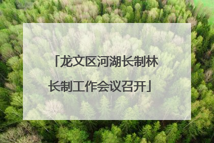 龙文区河湖长制林长制工作会议召开