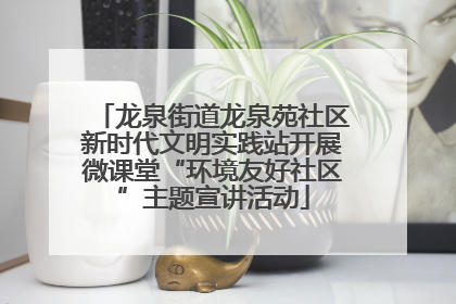 龙泉街道龙泉苑社区新时代文明实践站开展微课堂“环境友好社区”主题宣讲活动