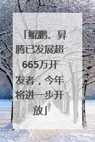 鲲鹏、昇腾已发展超665万开发者，今年将进一步开放