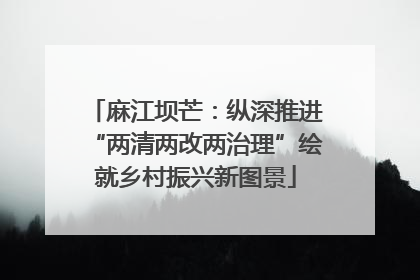 麻江坝芒：纵深推进“两清两改两治理”绘就乡村振兴新图景