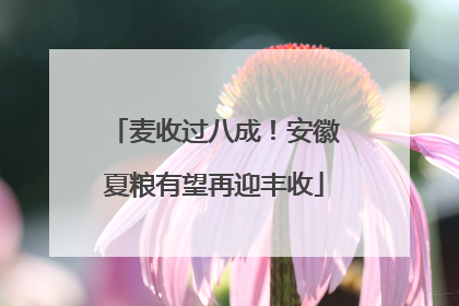 麦收过八成！安徽夏粮有望再迎丰收
