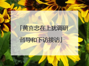 黄喜忠在上犹调研督导和下访接访