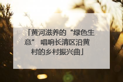 黄河滋养的“绿色生意” 唱响长清区沿黄村的乡村振兴曲