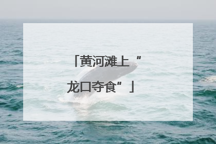 黄河滩上“龙口夺食”