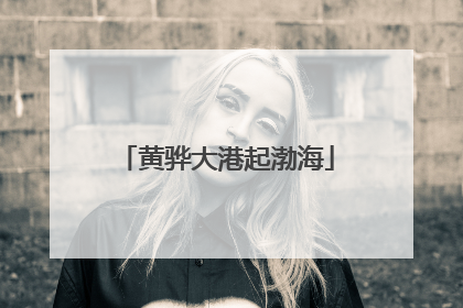 黄骅大港起渤海
