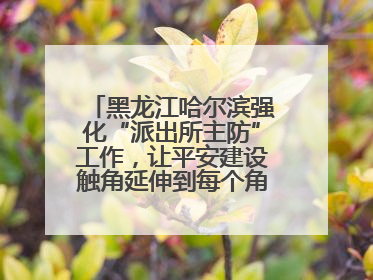 黑龙江哈尔滨强化“派出所主防”工作，让平安建设触角延伸到每个角落……