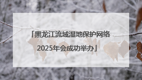 黑龙江流域湿地保护网络2025年会成功举办