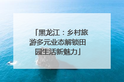 黑龙江：乡村旅游多元业态解锁田园生活新魅力