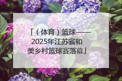 （体育）篮球——2025年江苏省和美乡村篮球赛落幕