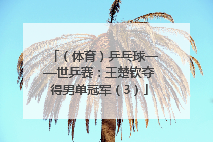 （体育）乒乓球——世乒赛：王楚钦夺得男单冠军（3）