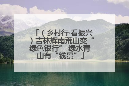 （乡村行·看振兴）吉林辉南荒山变“绿色银行” 绿水青山有“钱景”