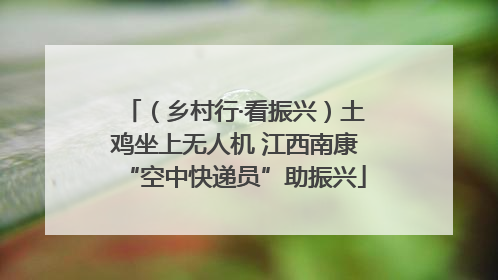 （乡村行·看振兴）土鸡坐上无人机 江西南康“空中快递员”助振兴