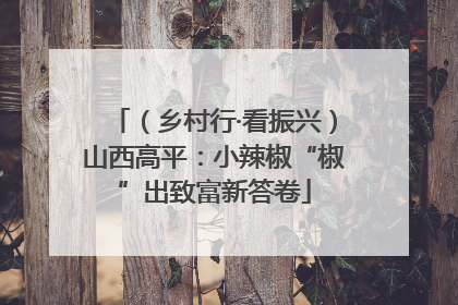 （乡村行·看振兴）山西高平：小辣椒“椒”出致富新答卷