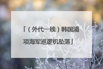 （外代一线）韩国浦项海军巡逻机坠落