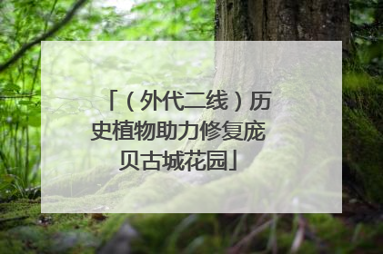（外代二线）历史植物助力修复庞贝古城花园