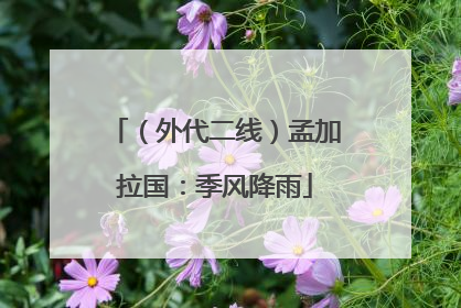 （外代二线）孟加拉国：季风降雨