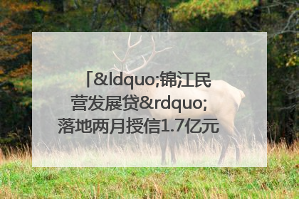 “锦江民营发展贷”落地两月授信1.7亿元，惠及118家民企