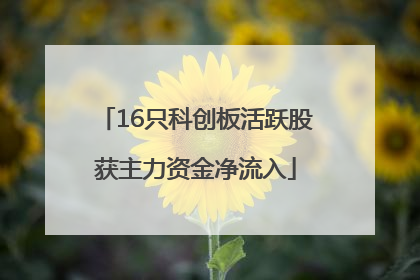 16只科创板活跃股获主力资金净流入