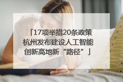 17项举措20条政策 杭州发布建设人工智能创新高地新“路径”