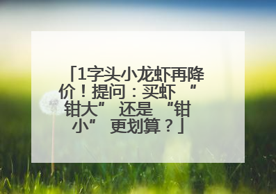 1字头小龙虾再降价！提问：买虾 “钳大” 还是 “钳小” 更划算？