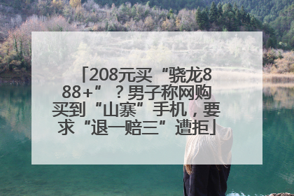 208元买“骁龙888+”？男子称网购买到“山寨”手机，要求“退一赔三”遭拒