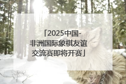 2025中国-非洲国际象棋友谊交流赛即将开赛