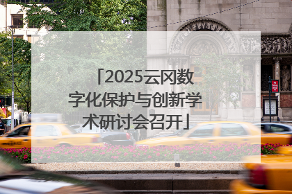 2025云冈数字化保护与创新学术研讨会召开