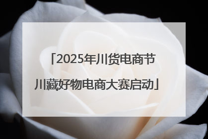 2025年川货电商节川藏好物电商大赛启动