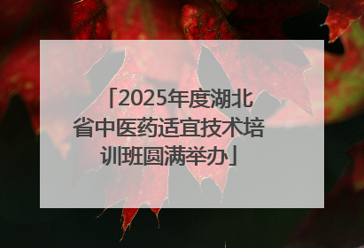 2025年度湖北省中医药适宜技术培训班圆满举办
