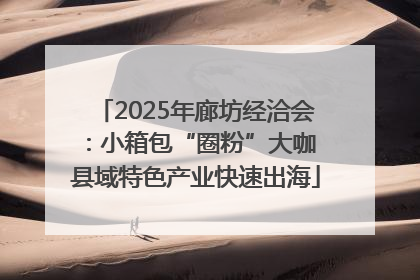 2025年廊坊经洽会：小箱包“圈粉”大咖 县域特色产业快速出海