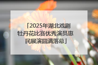 2025年湖北戏剧牡丹花比赛优秀演员惠民展演圆满落幕