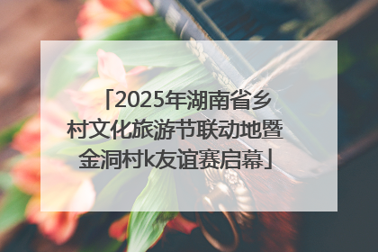 2025年湖南省乡村文化旅游节联动地暨金洞村k友谊赛启幕