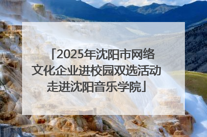2025年沈阳市网络文化企业进校园双选活动走进沈阳音乐学院