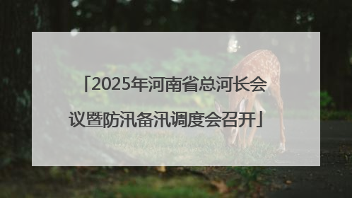2025年河南省总河长会议暨防汛备汛调度会召开