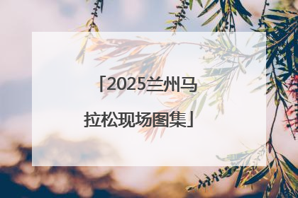 2025兰州马拉松现场图集