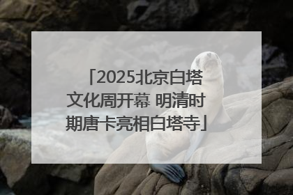 2025北京白塔文化周开幕 明清时期唐卡亮相白塔寺
