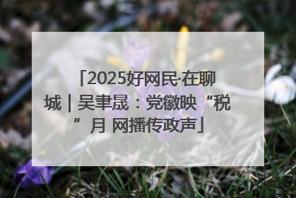 2025好网民·在聊城｜吴聿晟：党徽映“税”月 网播传政声