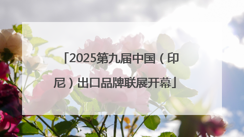 2025第九届中国（印尼）出口品牌联展开幕