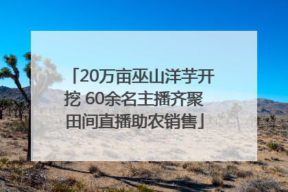 20万亩巫山洋芋开挖 60余名主播齐聚田间直播助农销售