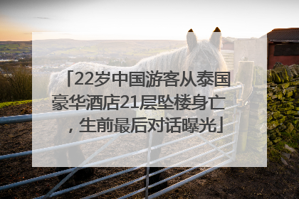 22岁中国游客从泰国豪华酒店21层坠楼身亡，生前最后对话曝光