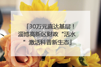 30万元直达基层！淄博高新区财政“活水”激活科普新生态