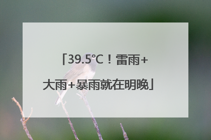 39.5℃！雷雨+大雨+暴雨就在明晚